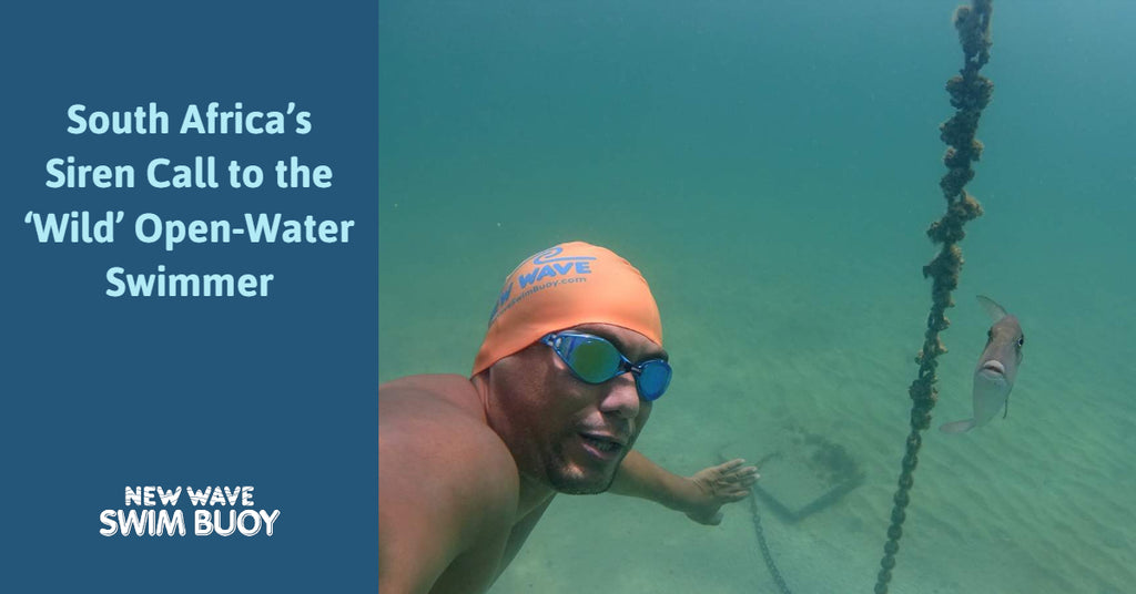 South Africa's Siren Call to the 'Wild' Open-Water Swimmer