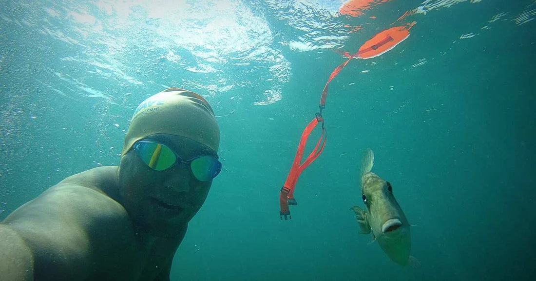 Don't let Swim Panic and Fear of Open Water Keep you from Swimming