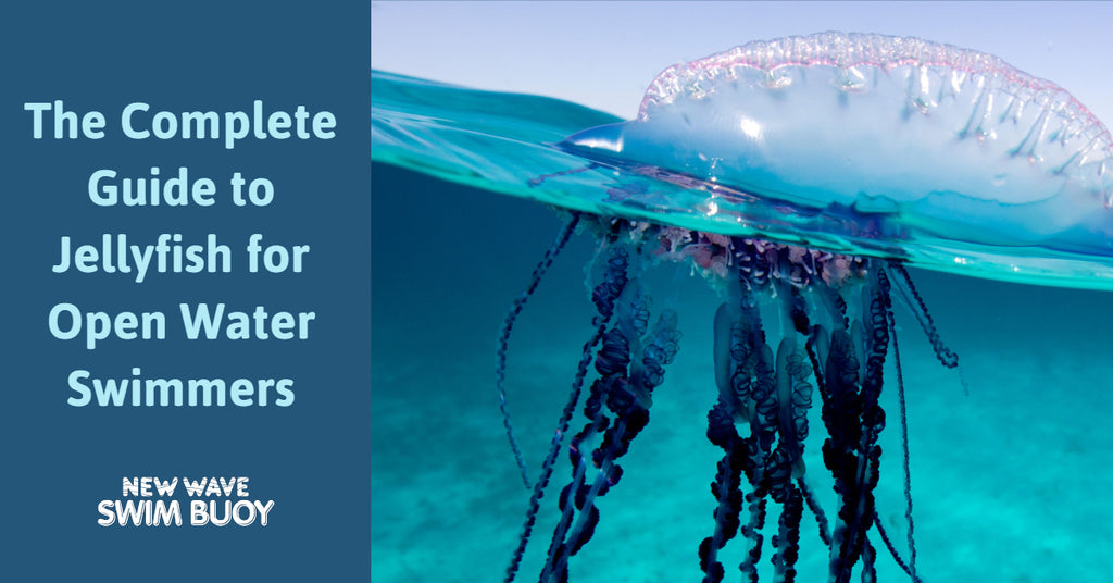 The Complete Guide to Jellyfish for Open Water Swimmers