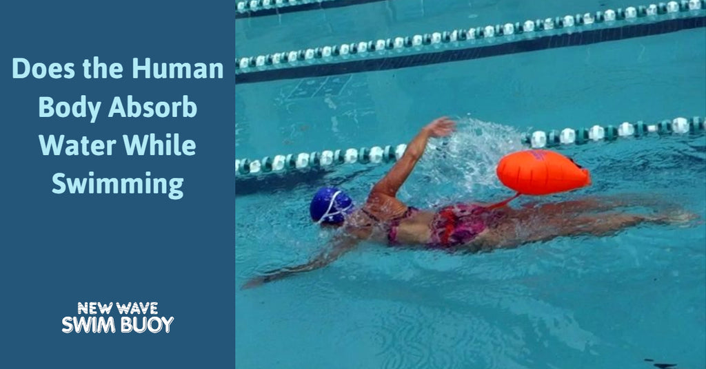 What Makes Triathletes Want to Pee During the Swim? Does the Human Body Absorb Water While Swimming?